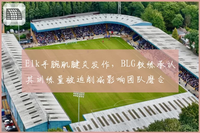 Elk手腕肌腱炎发作，BLG教练承认其训练量被迫削减影响团队磨合