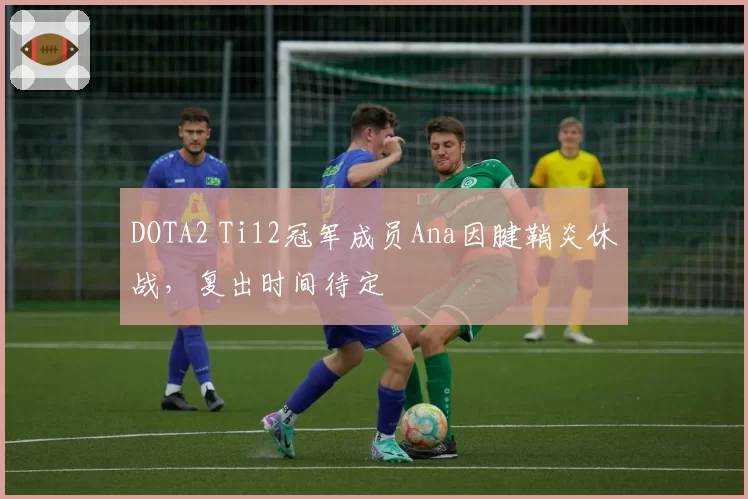 DOTA2 Ti12冠军成员Ana因腱鞘炎休战，复出时间待定
