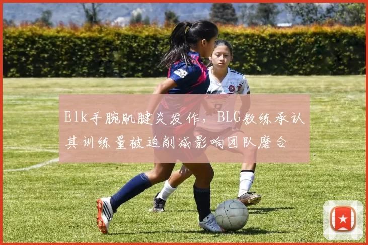 Elk手腕肌腱炎发作，BLG教练承认其训练量被迫削减影响团队磨合