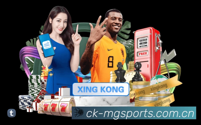 满冠体育App亮点：多维搜索、热门结果与直达入口